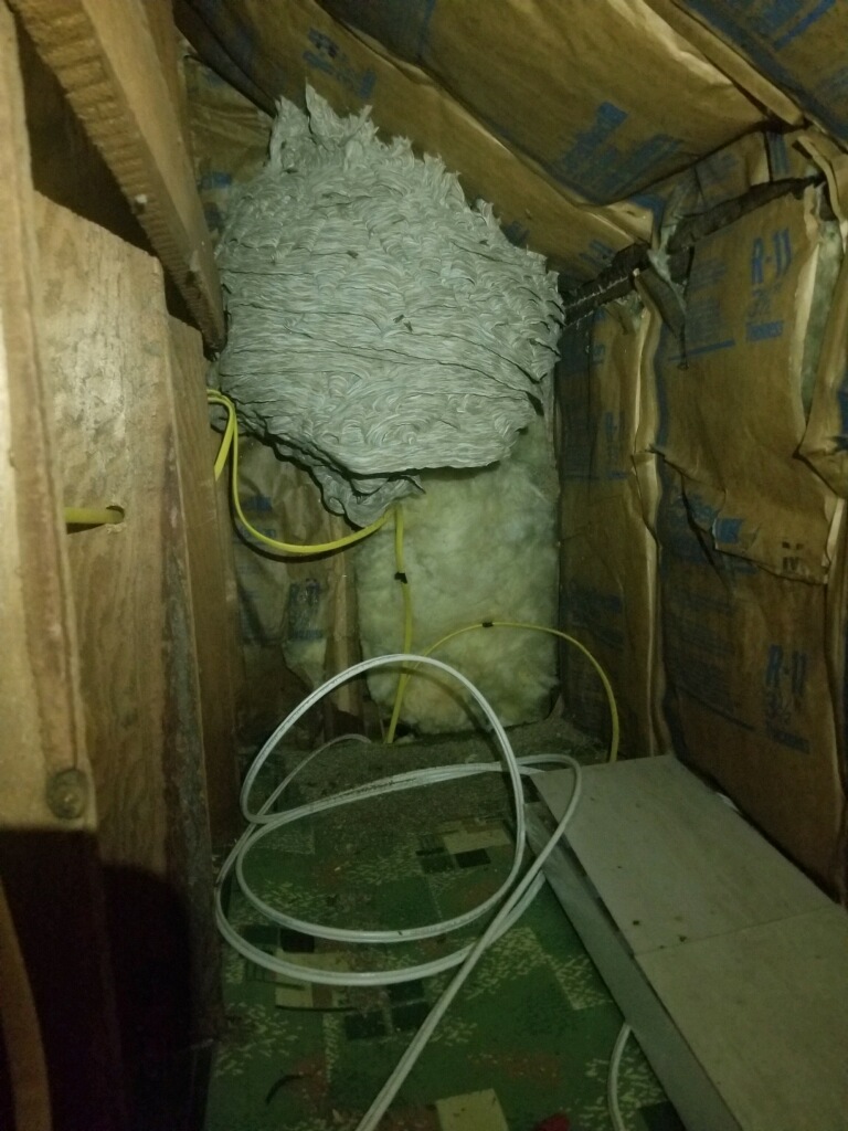 Specialists in Pest Control